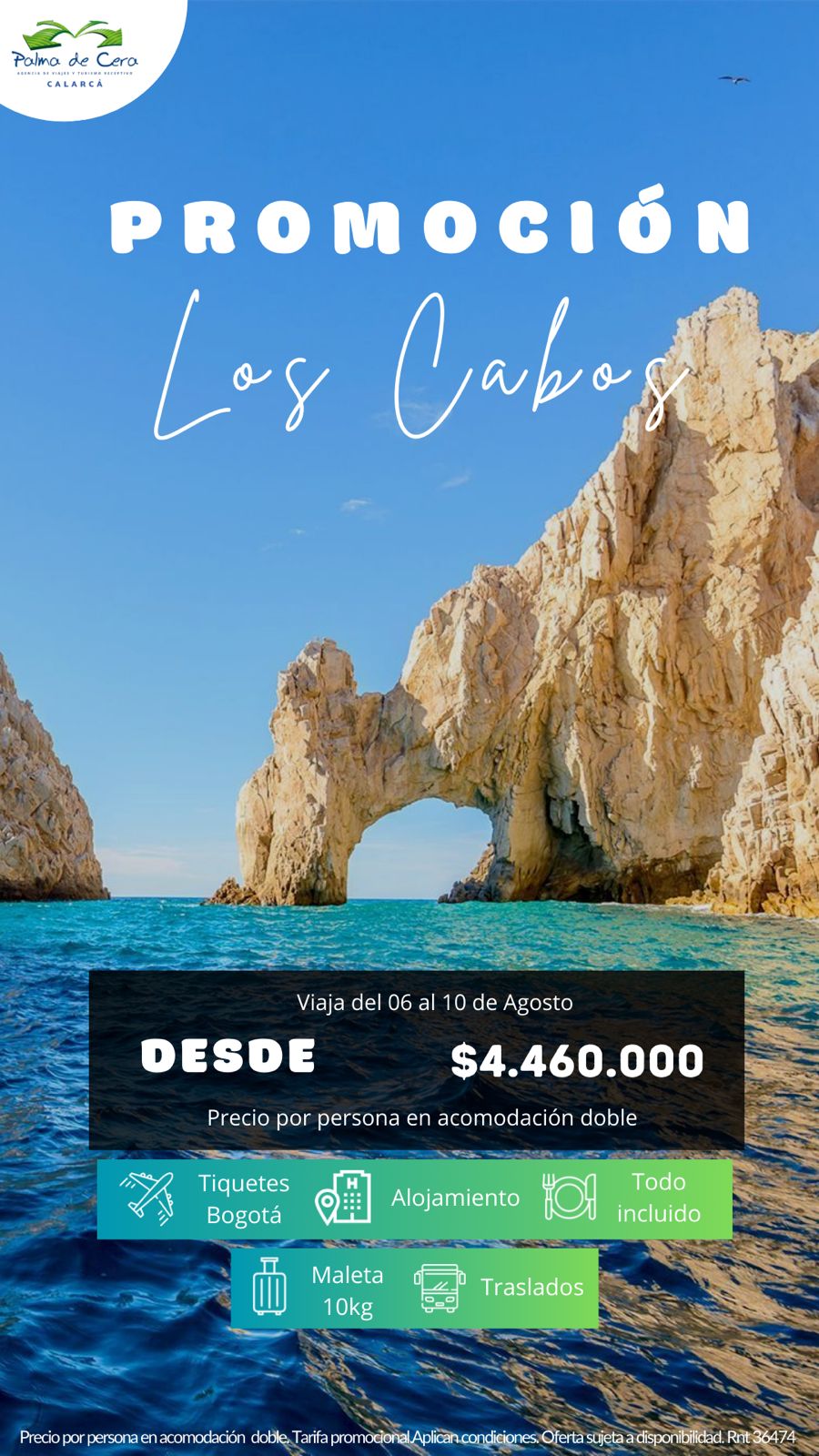 LOS CABOS 2026-03-12 at 2.52.52 PM (1)