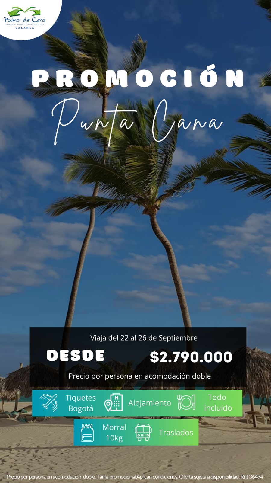 PUNTA CANA 2026-03-12 at 2.45.04 PM (1)